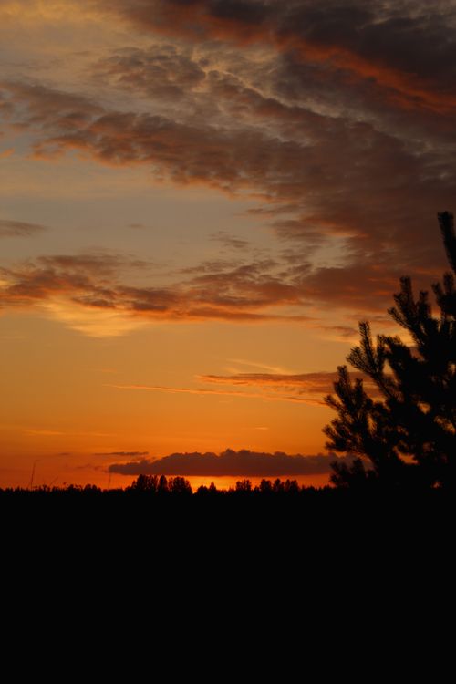 Free A peaceful sunset with silhouetted trees and vibrant orange hues in the sky. Stock Photo