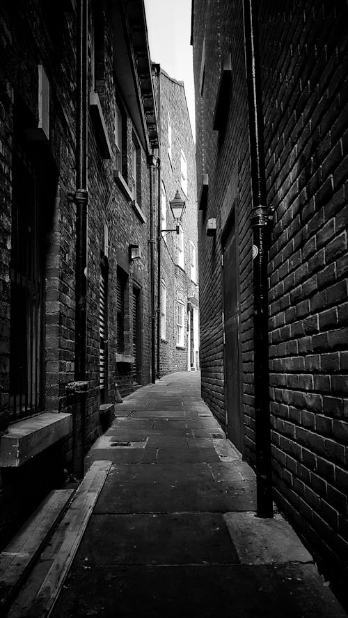 Free Grayscale Photo of an Alley Stock Photo