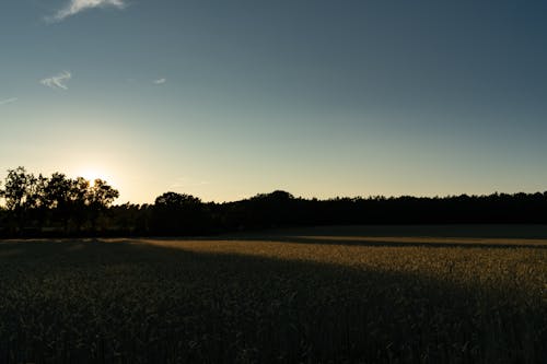 Ilmainen kuvapankkikuva tunnisteilla aamu, auringonlasku, auringonnousu