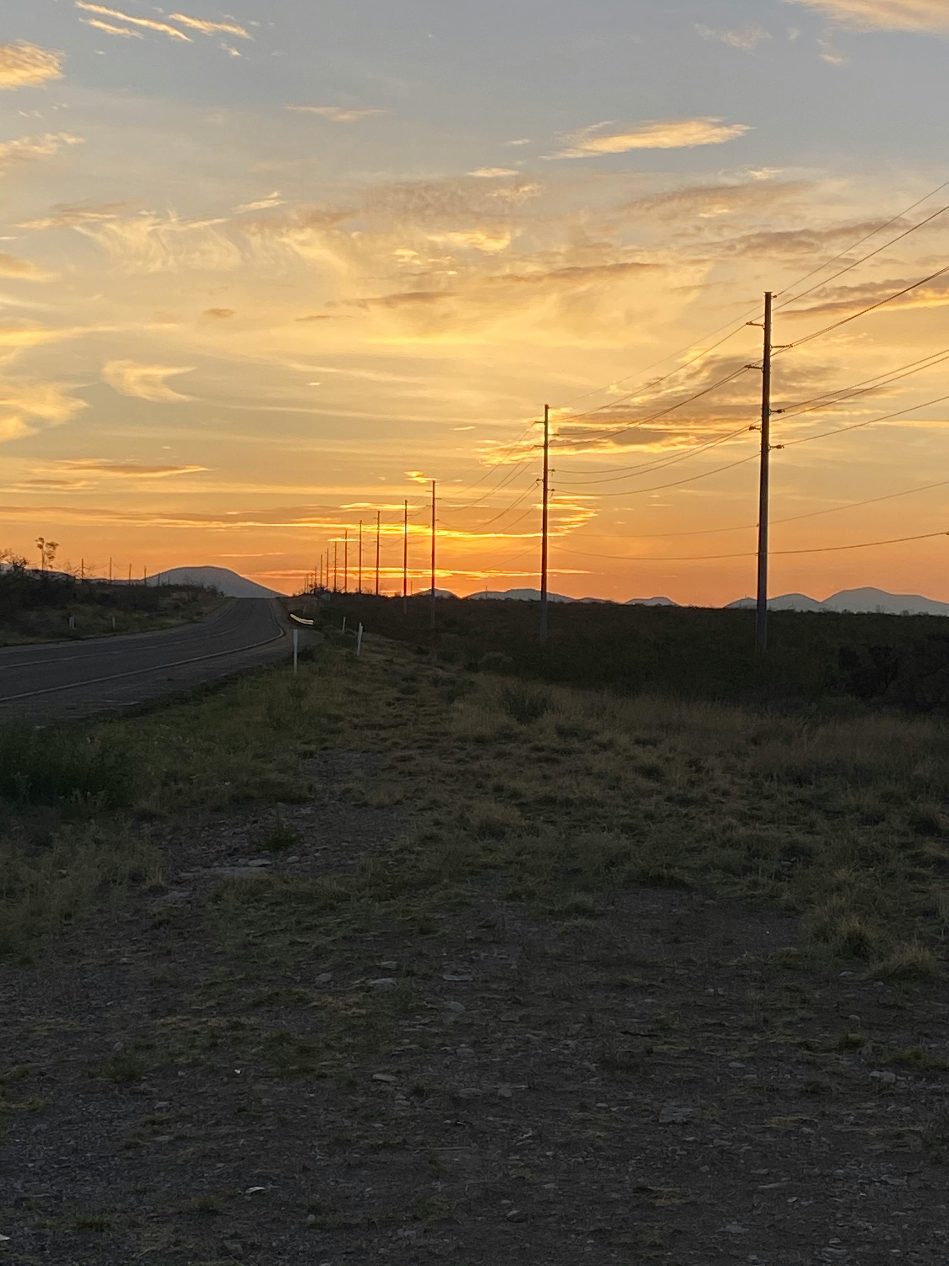 Gallery image 13