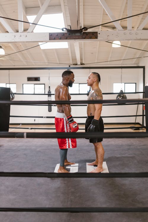 Free Two Shirtless Men Standing Face to Face in a Boxing Ring Stock Photo