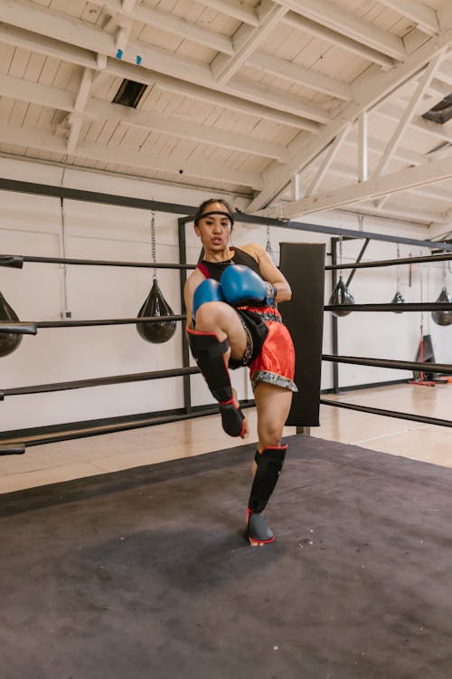 Fotos de stock gratuitas de atleta, boxeador, combatiente