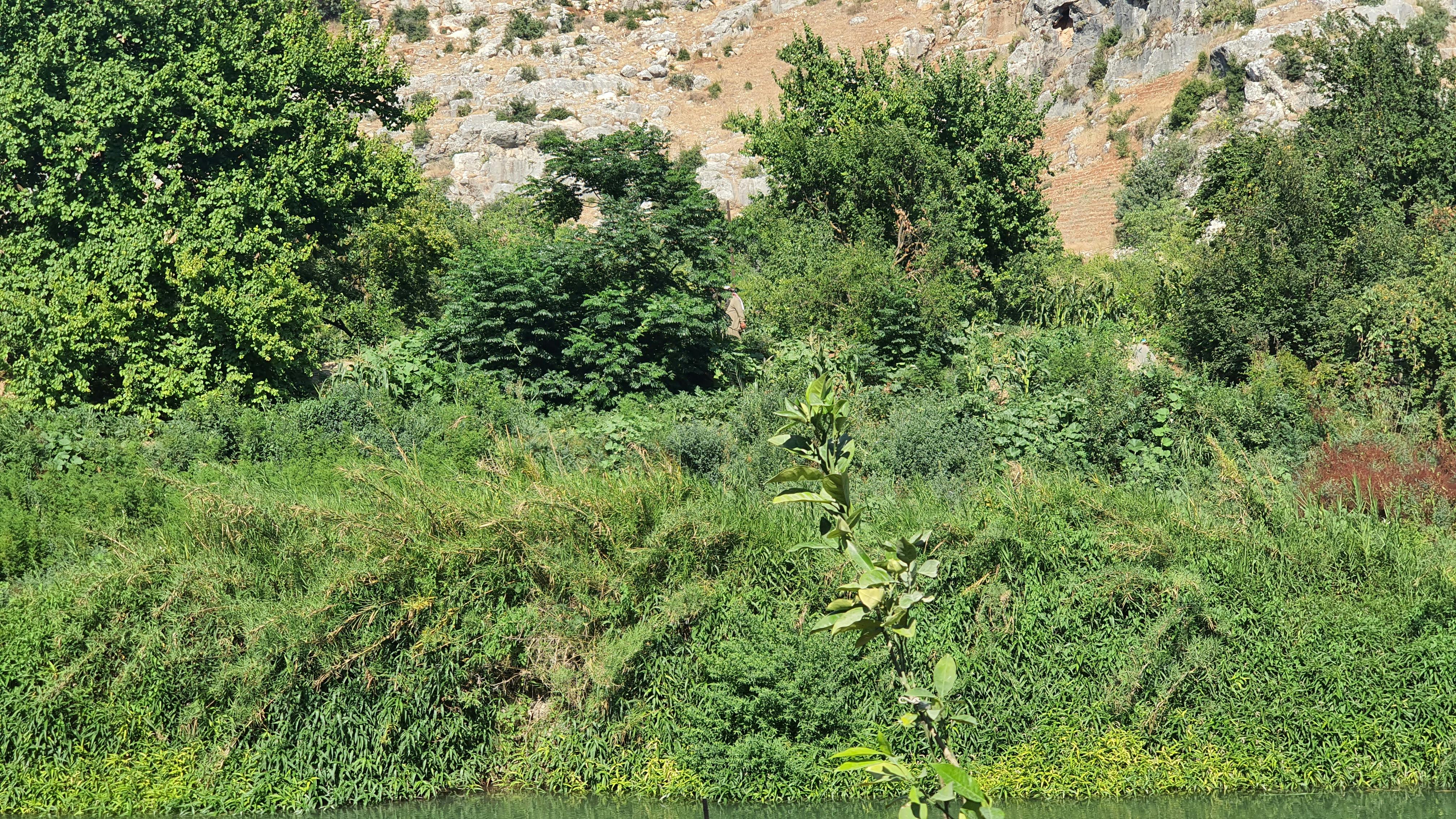 Krav Maga techniques entrainement self defense