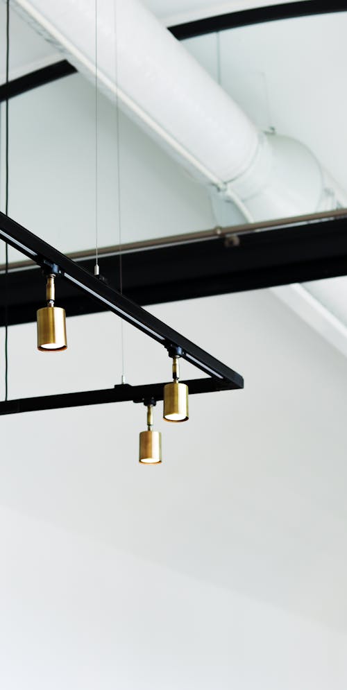 Decorative Black and Gold Pendant Lamp