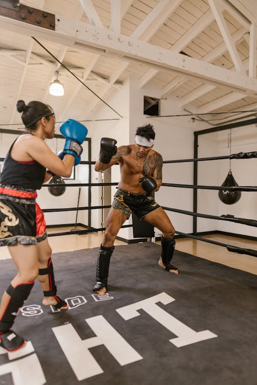 Photos gratuites de entraînement, femme, formation