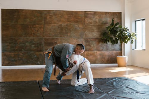 Gratis lagerfoto af jiu jitsu, judo, kæmpe