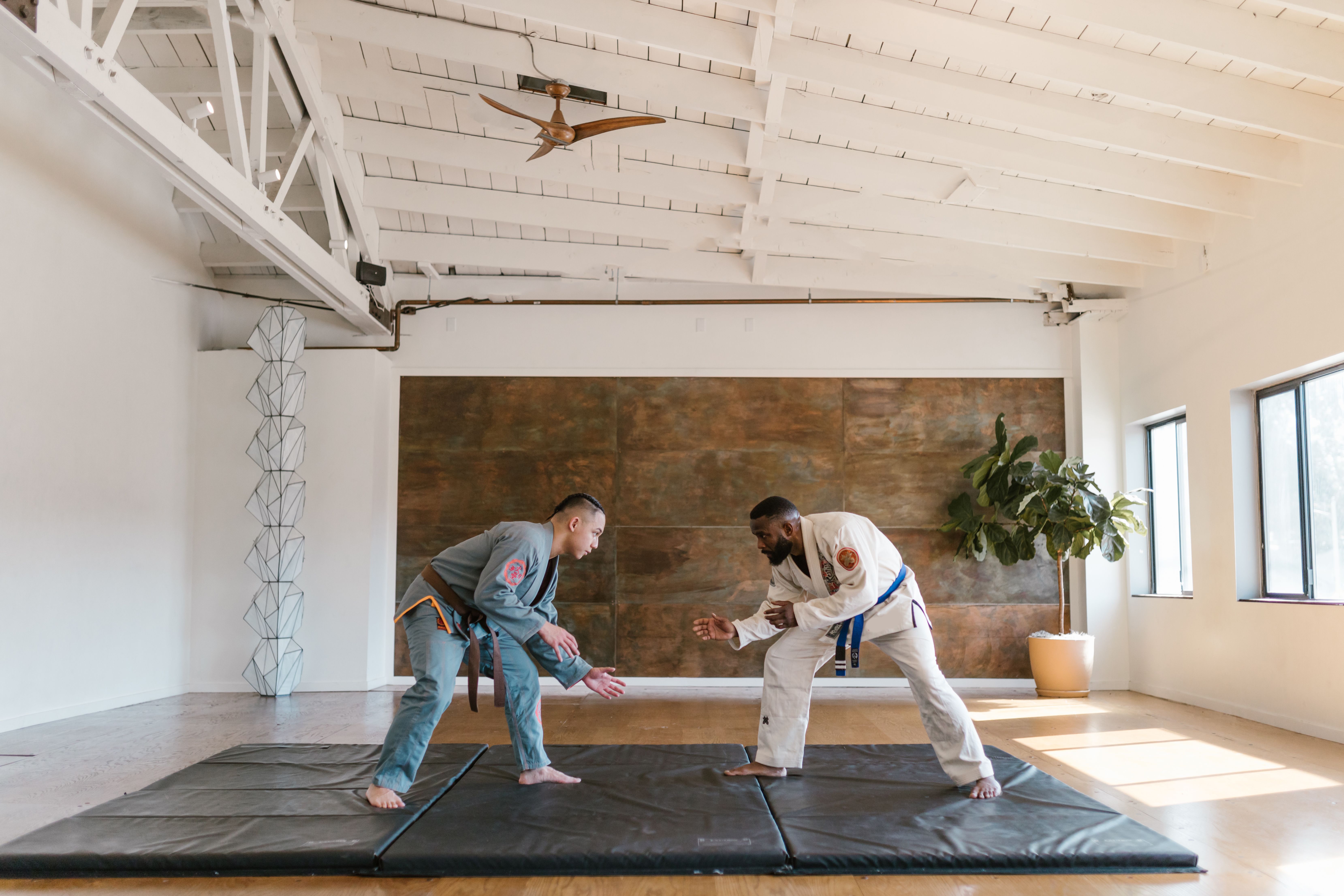 stand up grappling police training