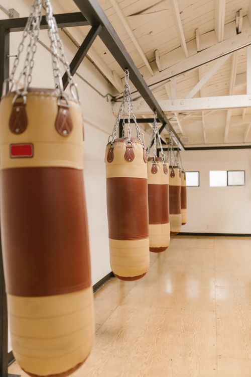 Free Line of hanging boxing bags in a well-lit, empty gym, ideal for sports training. Stock Photo