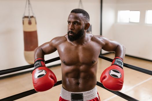 A strong, shirtless man in boxing gloves stands confidently in the ring.