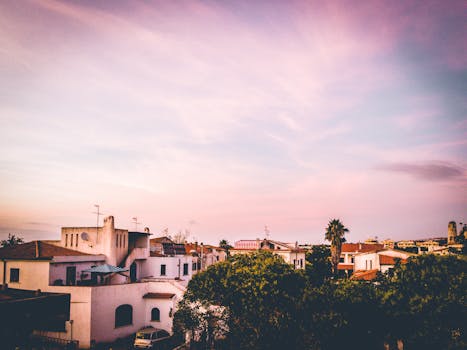 White and Black Houses Surface