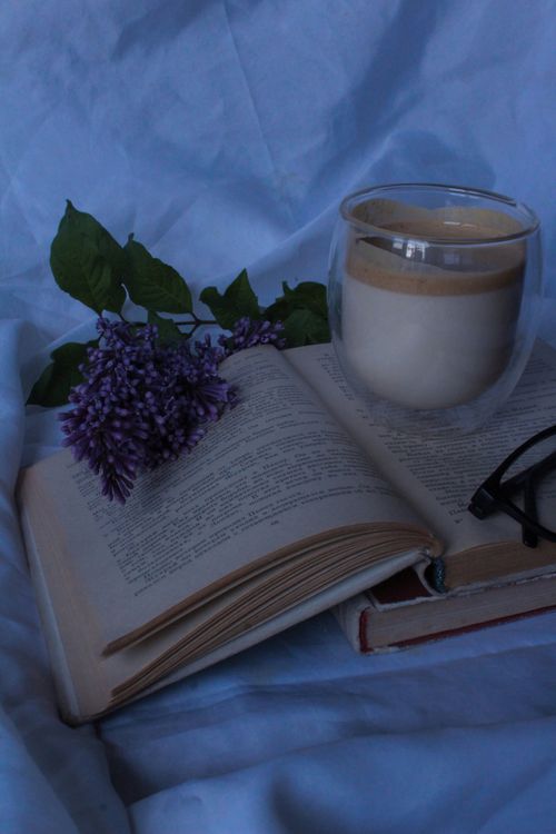 Free stock photo of aesthetics, atmosphere, good morning Stock Photo