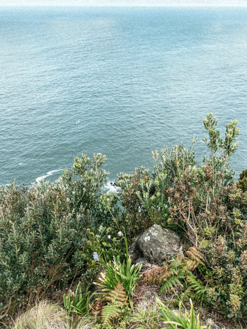 View of the Seashore from a Cliff 