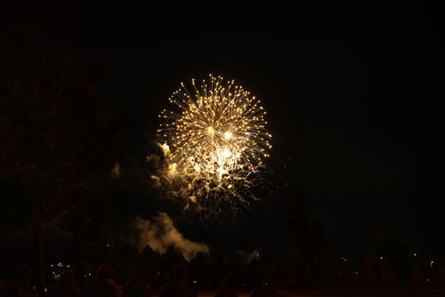 Free Glowing fireworks burst against a dark sky, illuminating the night with vibrant sparks. Stock Photo