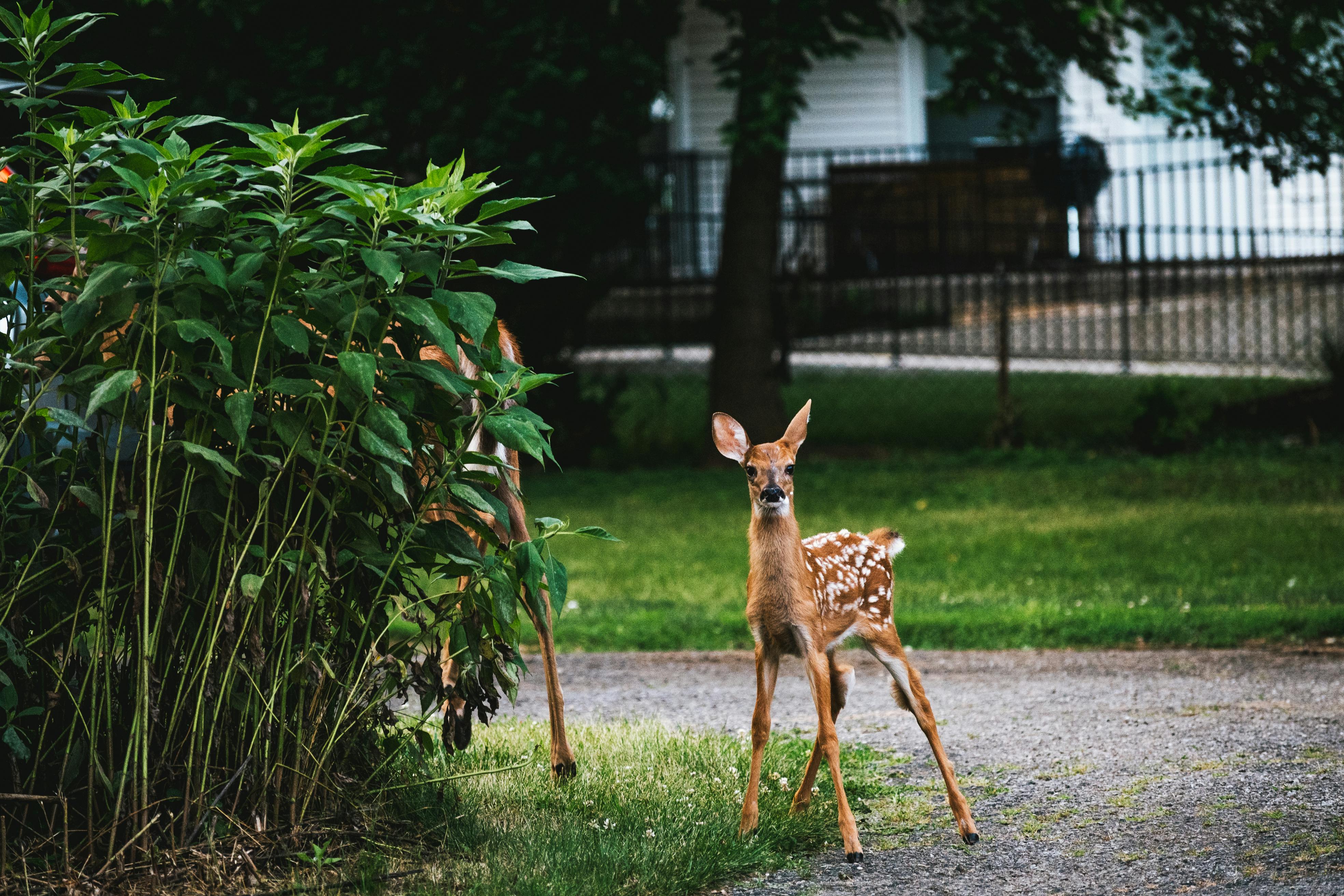 Outdoor daycare activity