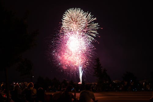 Immagine gratuita di celebrazione, esterno, fuochi d'artificio