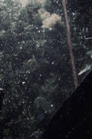 Actividades educativas