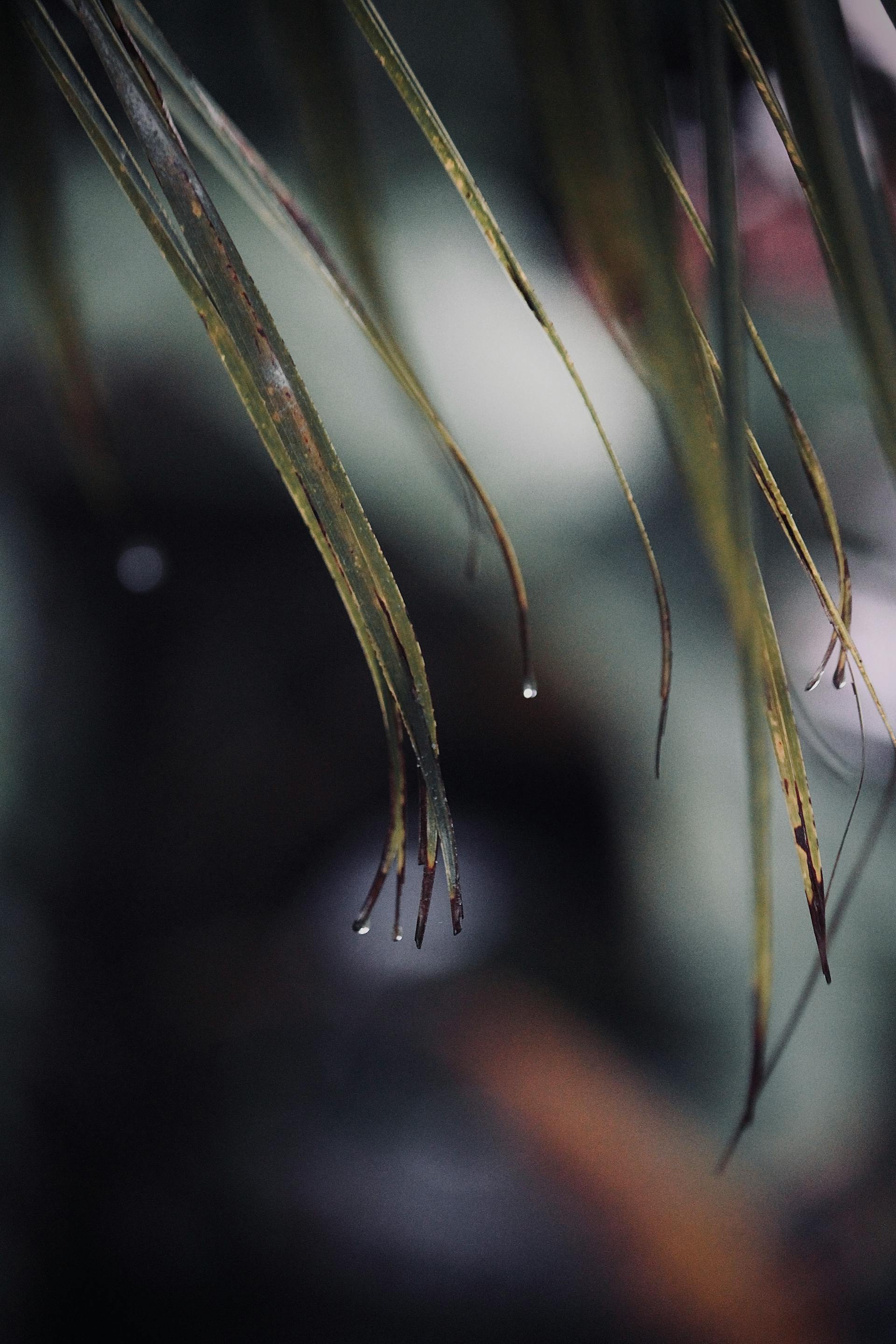 Warm outdoor play environment