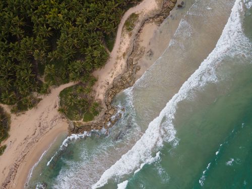 Free A stunning aerial view of a tropical beach lined with lush palm trees and turquoise ocean waves. Stock Photo