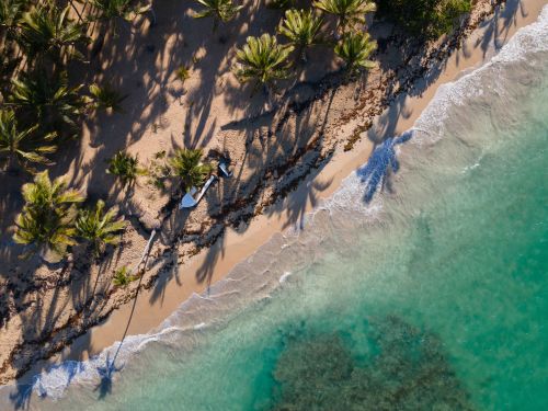 Free Drone shot of a tropical beach with palm trees and turquoise waters, ideal for travel inspiration. Stock Photo