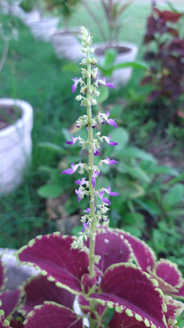 Children's clothing size guide