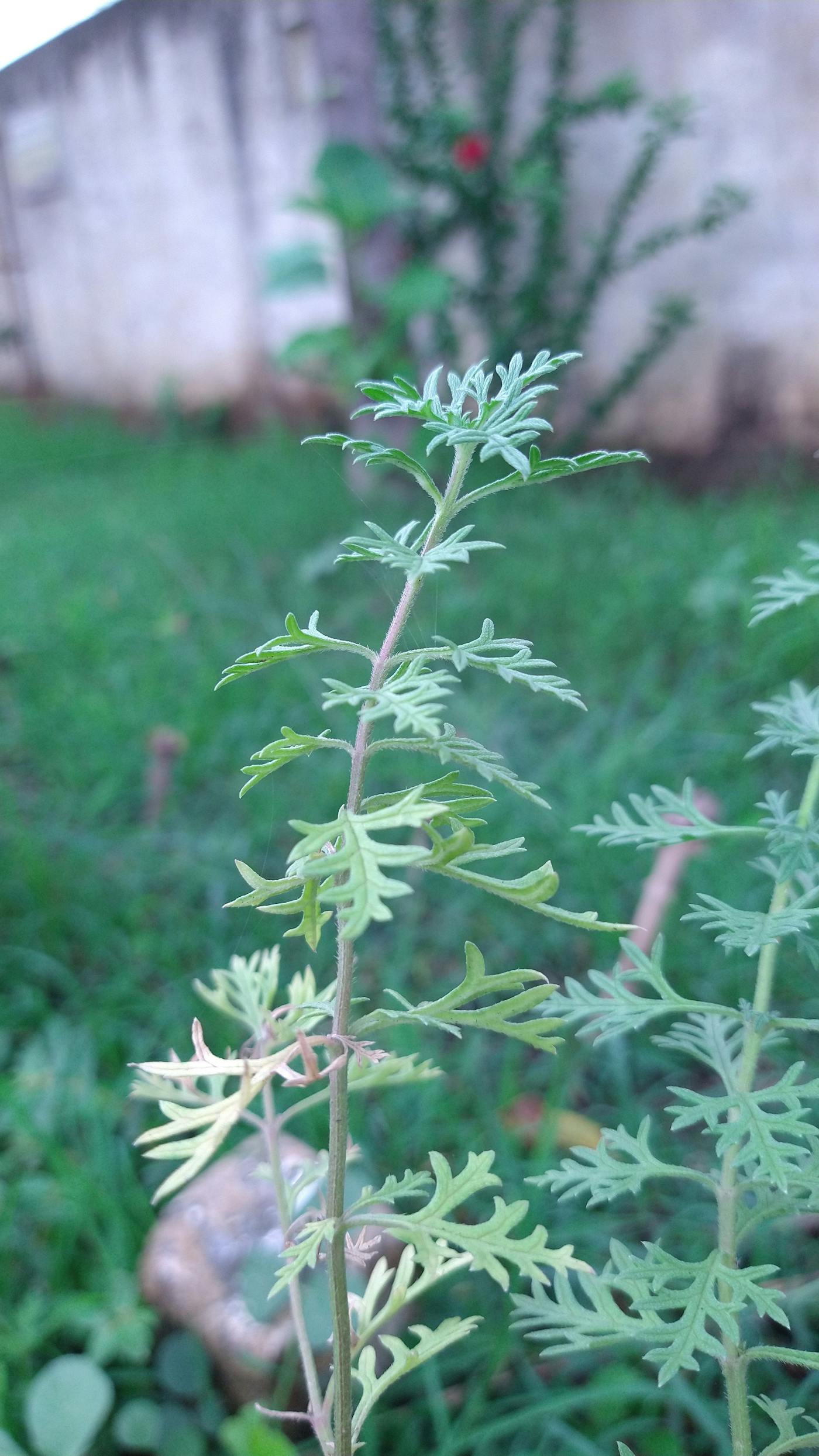 Niño explorando una actividad mientras el adulto acompaña