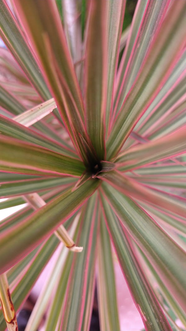 Creative Arts & Crafts for Rainy Days