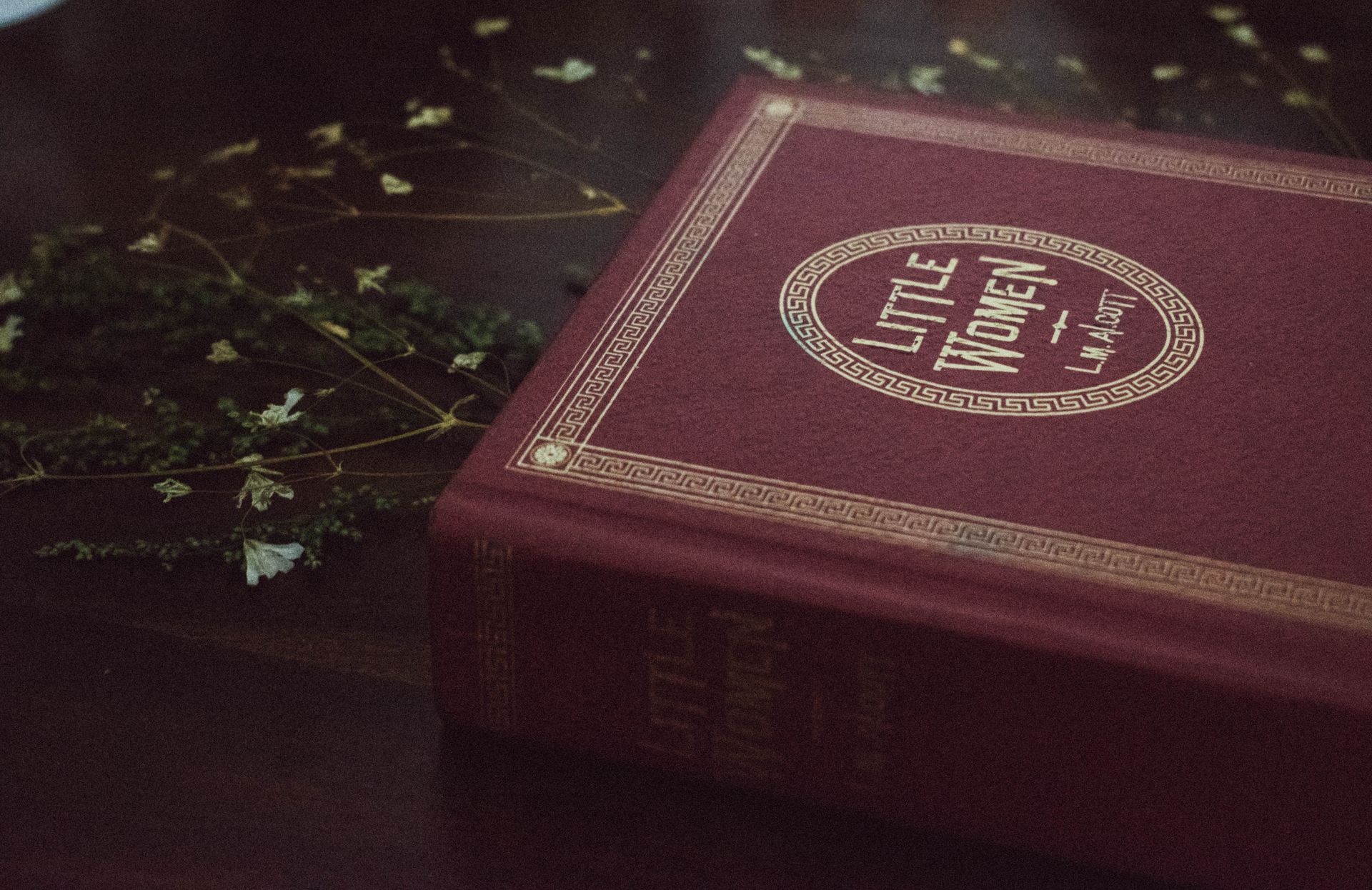 Close-up of a Red Book
