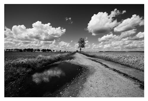 Foto profissional grátis de estrada, nuvens brancas