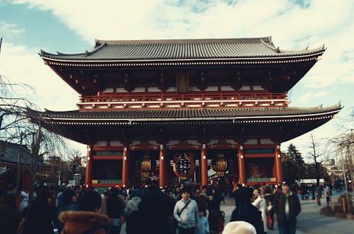 日本の寺院の人々の写真