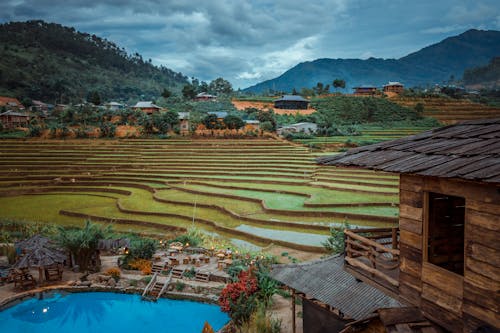 Безкоштовне стокове фото на тему «В’єтнам, пахотні угіддя, рисові тераси»