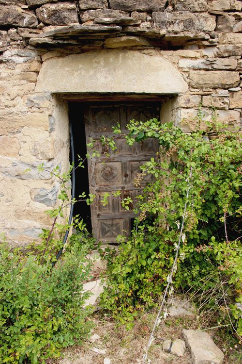 Free Old wooden door on a rustic stone building surrounded by overgrown vegetation. Stock Photo