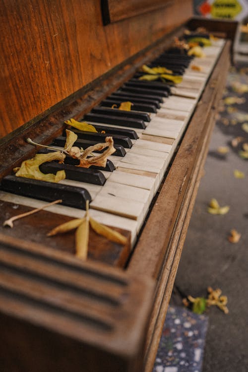 Close-up of Leaves in a Wooden Piano