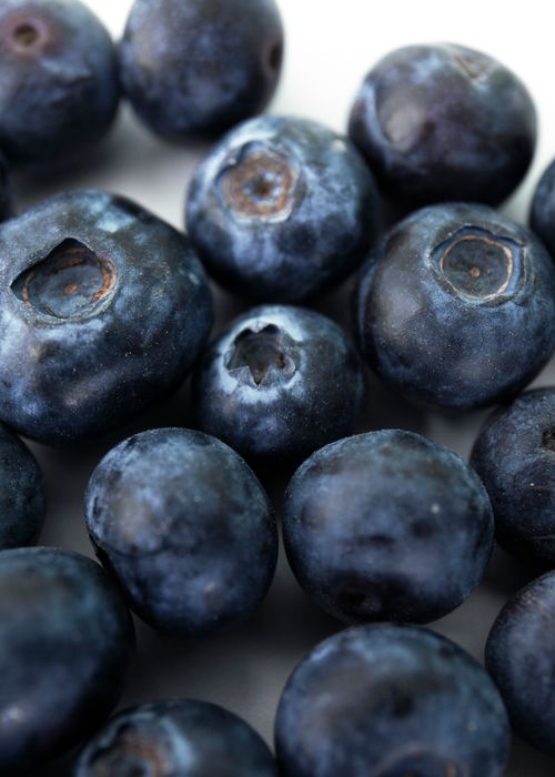 Close-Up of Fresh Blueberries in Natural Light · Free Stock Photo