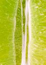 Water Droplets on Green Leaf