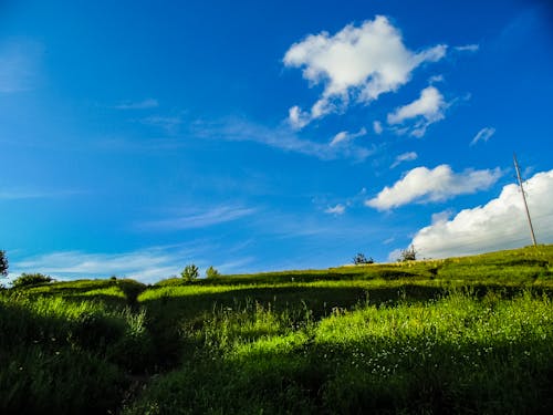 Gratis stockfoto met kalm, natuur, zomer