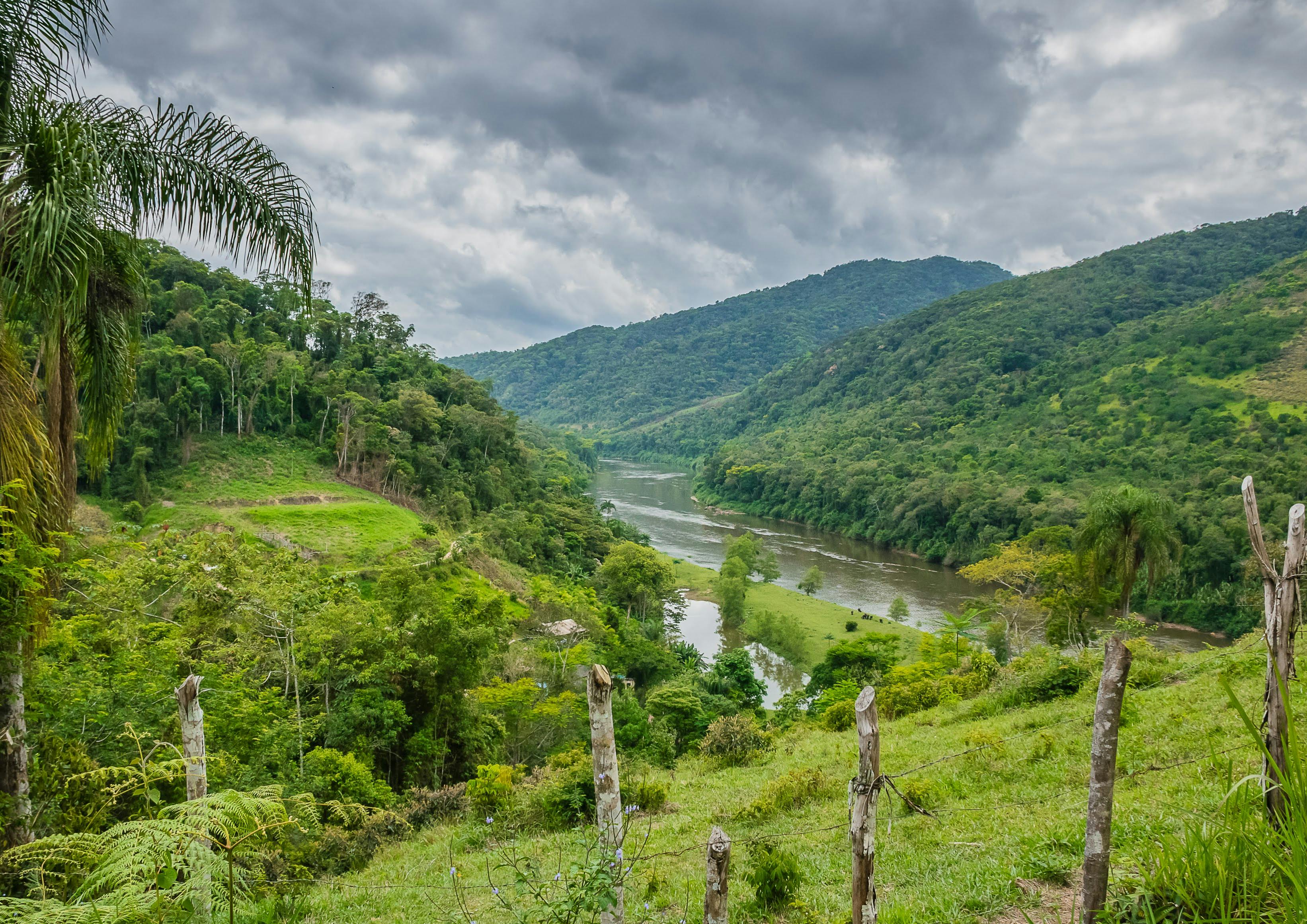 Congo Basin hills, forest, and river in daylight