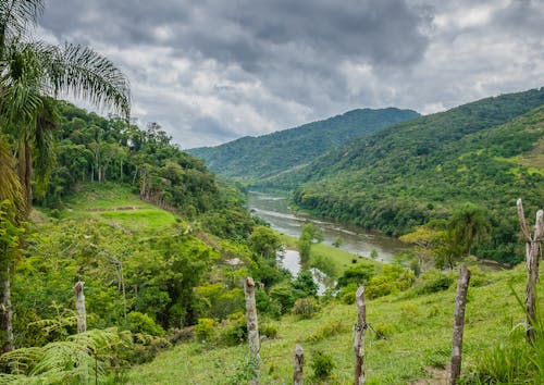 Foto profissional grátis de árvores, céu nublado, corpo d'água