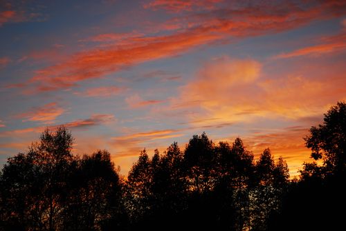 Free A stunning sunset over Tver captures silhouettes of trees against a vibrant sky. Stock Photo
