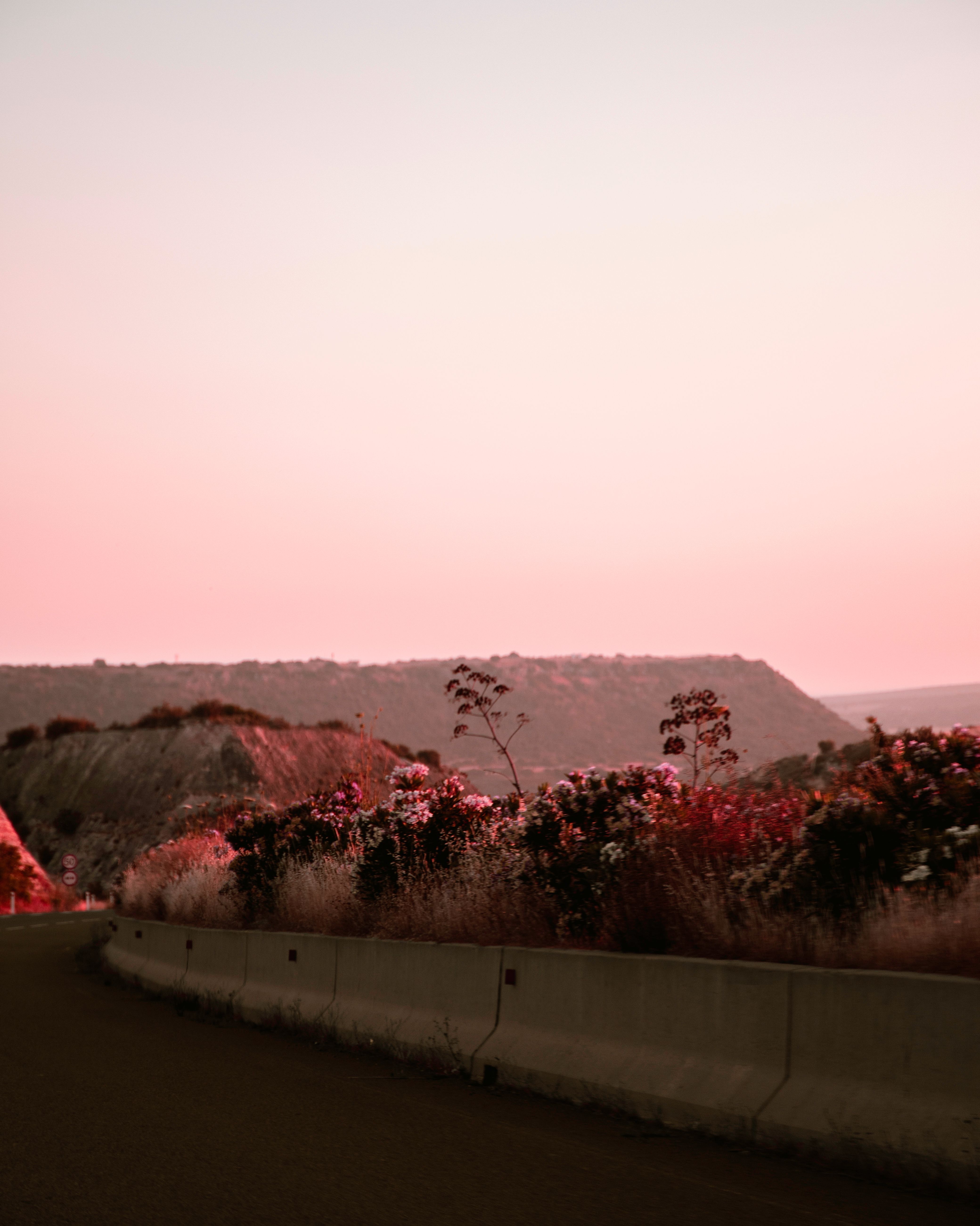 A scenic view of a pink sunset casting a warm glow over a mountain road lined with flowers.