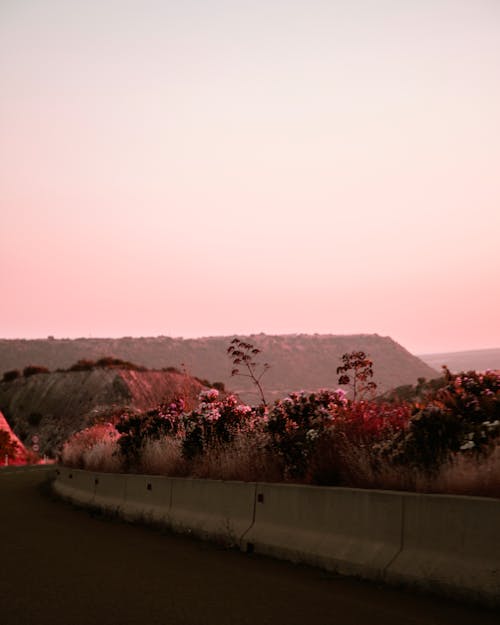 Scenic View of Nature From the Road