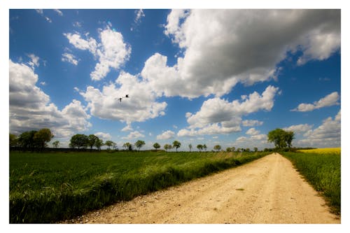 Free stock photo of unpaved pathway, white clouds