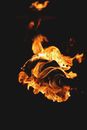 Fire in Black Background With Black Background