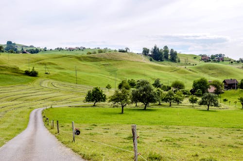 Free Rural Area Full of Green Grass Stock Photo