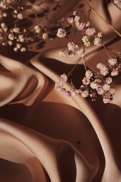 Kostnadsfri bild av brunt tyg, närbild, rosa blommor