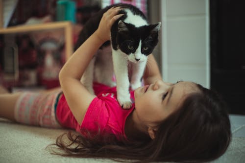 Free Girl in Pink Shirt Holding a Cat Stock Photo