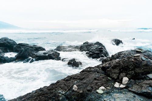 Waves Crashing a Rocky Shore