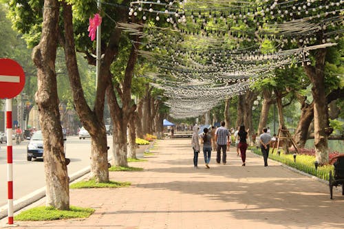 ağaçlar, çiftler, Hanoi içeren Ücretsiz stok fotoğraf