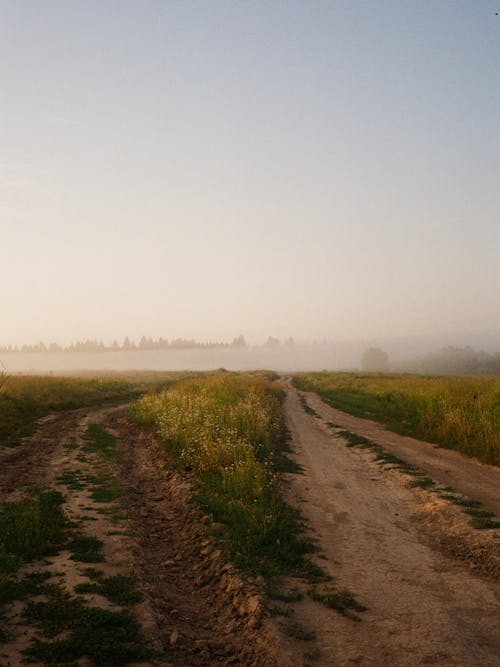 Free Photos gratuites de brouillard, chemin de terre, ciel Stock Photo