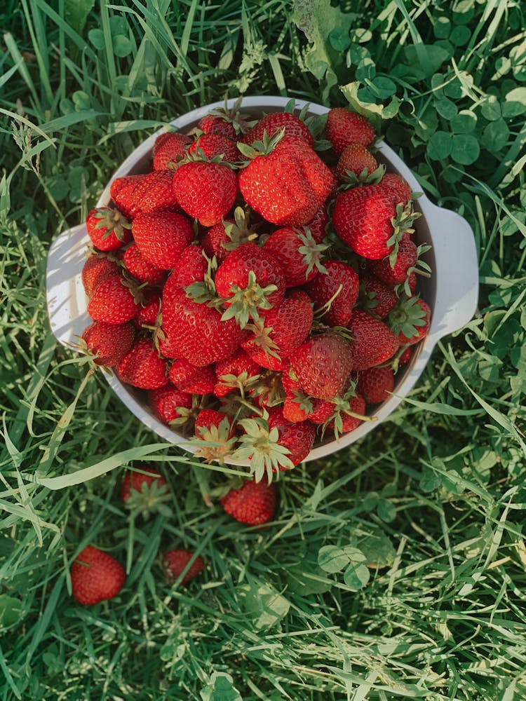 Overhead Shot Of Strawberries In The Grass