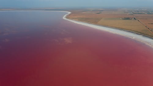 Scenic View of the Pink Ocean